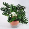 Artificial Plant H:28cm Philodendron in Paper pot GS-6660623 1 Artificial Plant H:28cm Philodendron in Paper pot GS-6660623