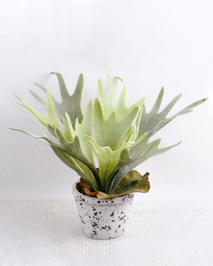 Artificial Plant 36*36*23cm Platycerium in small cement pot GS-03318021