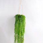 Artificial Plant 14*14*75cm  Round leaf garland in plsatic pot GS-03318164-G1