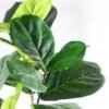 Artificial Tree 115CM FicusTree GF-14518001