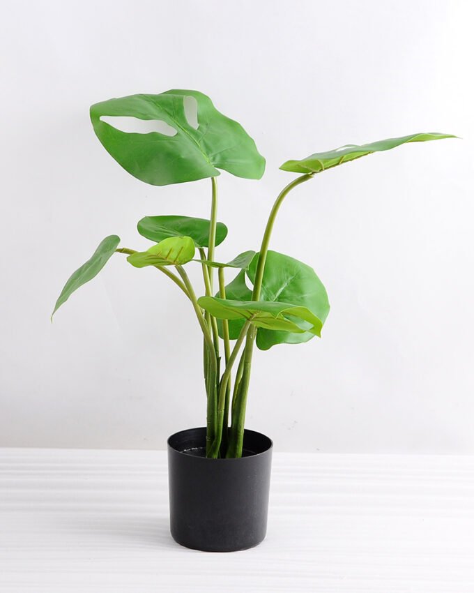 Artificial Tree 48CM MONSTERA TREE GF-25818002
