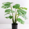 Artificial Tree 48CM MONSTERA TREE GF-25818003