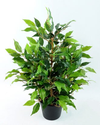 Artificial Tree 53CM Fricus Tree GF18018-340 Tree&Plant YeahFlower is one of Chinese leading OEM manufacturers and exporters , supplying the silk flowers, wholesale artificial trees Artificial Tree 53CM Fricus Tree GF18018-340