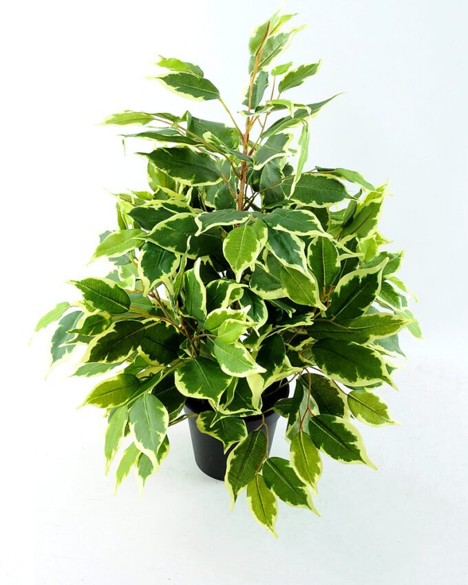 Artificial Tree 55CM Fricus Tree GF18022-230