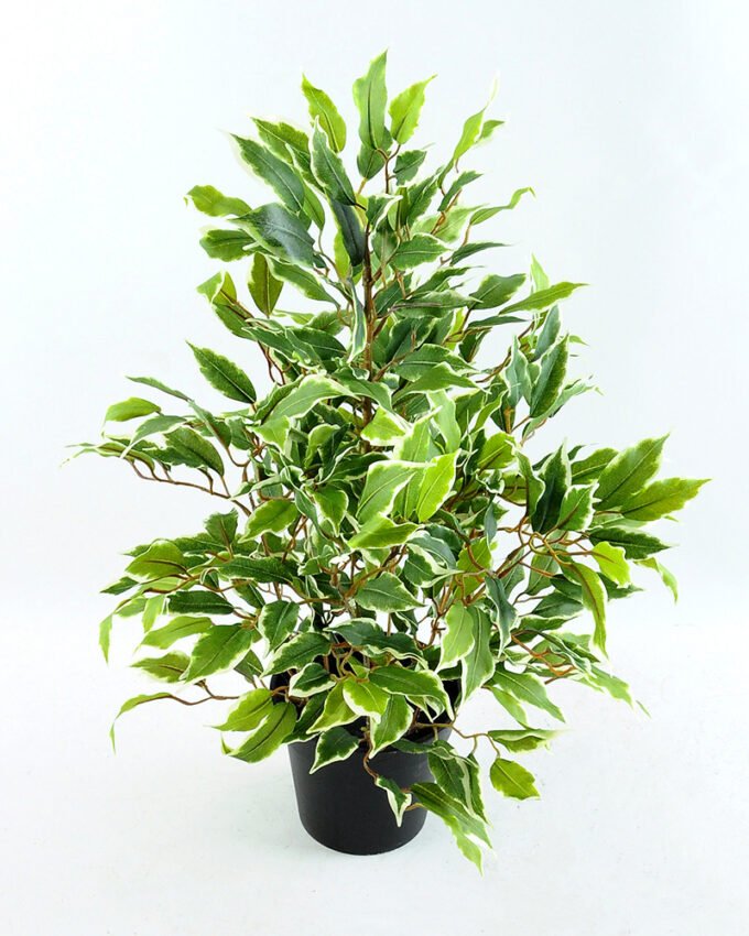 Artificial Tree 55CM Fricus Tree GF18022-340 1 Artificial Tree 55CM Fricus Tree GF18022-340