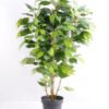 Artificial Tree 80cm Ficus GF18017-455P0P4