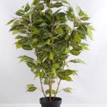 Artificial Tree 80cm Ficus GF18049-455