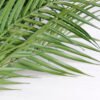 Artificial Tree 56*50*76cm Palm tree in plastic pot GF-24518001