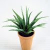 Artificial succulent H:28cm Aloe in paper pot GS-6660629-G3
