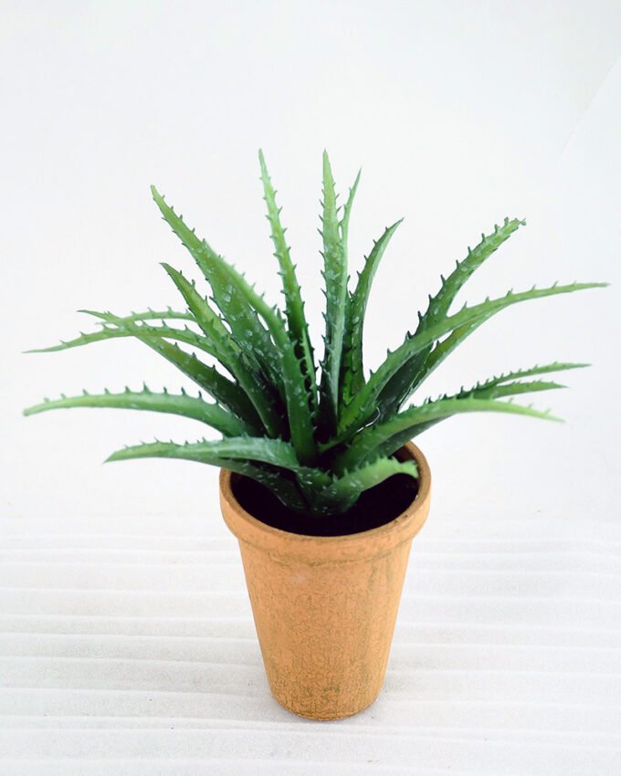 Artificial succulent H:28cm Aloe in paper pot GS-6660629-G3