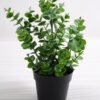 Artificial succulent 20*20*27cm Eucalyptus in plastic pot GS-03318206