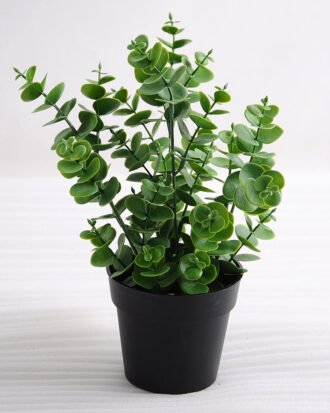 Artificial succulent 20*20*27cm Eucalyptus in plastic pot GS-03318206