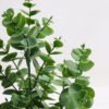 Artificial succulent 20*20*27cm Eucalyptus in plastic pot GS-03318206