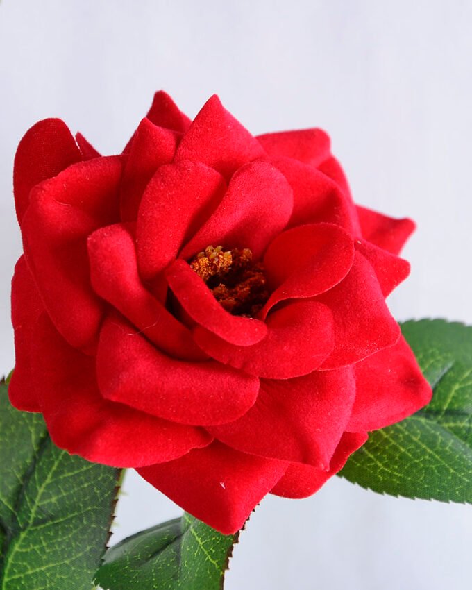 Artificial Flower 26*76CM Chinese rose spray GS-35819001 1 Artificial Flower 26*76CM Chinese rose spray GS-35819001