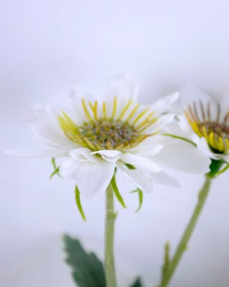 Artificial Flower 16*13*58cm Chrysanthemum GS-27919015-W1 Single Flowers YeahFlower is one of Chinese leading OEM manufacturers and exporters , supplying the silk flowers, wholesale artificial trees Artificial Flower 16*13*58cm Chrysanthemum GS-27919015-W1