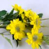 Artificial Flower 16*13*58cm Chrysanthemum GS-27919015-Y2