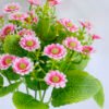 Artificial Flower 20*27cm Daisies bush*5 GS-41119006CONTI-P1 2 Artificial Flower 20*27cm Daisies bush*5 GS-41119006CONTI-P1