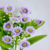 Artificial Flower 20*27cm Daisies bush*5 GS-41119006CONTI-Z2