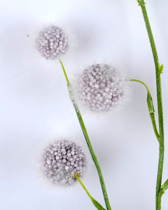 Artificial Flower 22*80CM Foam fruit GS-29419017-Z1 Single Flowers YeahFlower is one of Chinese leading OEM manufacturers and exporters , supplying the silk flowers, wholesale artificial trees Artificial Flower 22*80CM Foam fruit GS-29419017-Z1