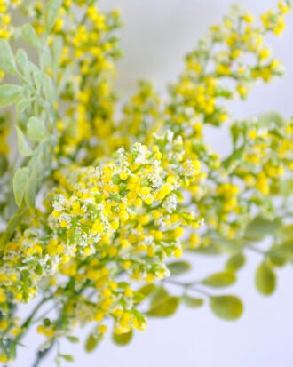 Artificial Flower 24*32cm Foam plants bush*5 GS-52819002-Y1