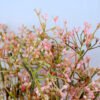 Artificial Flower 23*24*38cm GYPSOPHILA  BUSH GS-27919014-P1