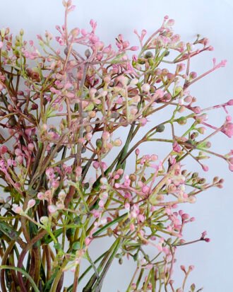 Artificial Flower 23*24*38cm GYPSOPHILA  BUSH GS-27919014-Z1