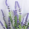 Artificial Flower 33*32*61cm Lavender bush*10 GS-52519001-Z1