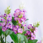 Artificial Flower 29*27*53cm Lavender bush*15 GS-52519004-Z1