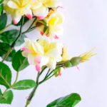 Artificial Flower 27*80cm Mini rose spray GS-52519006-Y1