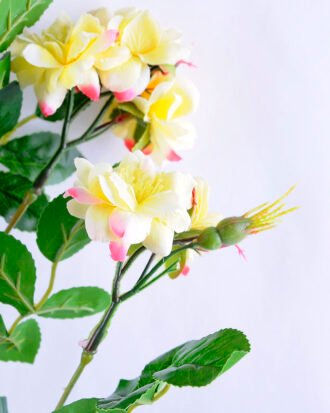 Artificial Flower 27*80cm Mini rose spray GS-52519006-Y1 Flowers Bush YeahFlower is one of Chinese leading OEM manufacturers and exporters , supplying the silk flowers, wholesale artificial trees Artificial Flower 27*80cm Mini rose spray GS-52519006-Y1