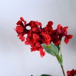 Artificial Flower 24*113cm Pull flower GS-52519008-R1