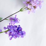 Artificial Flower 24*113cm Pull flower GS-52519008-Z1