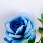 Artificial Flower 18*63CM Rose spray*2 GS-52219001-B1
