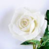Artificial Flower 18*63CM Rose spray*2 GS-52219001-W1