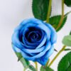 Artificial Flower 18*66CM Rose spray*3 GS-52219003-B1