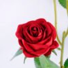Artificial Flower 18*66CM Rose spray*3 GS-52219003-R2