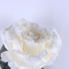 Artificial Flower 12*75CM SINGLE ROSE WITH FLOCKY GS-53319001-R1