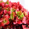 Artificial Flower Singel hydrangea GS-44319001-R1