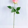 Artificial Flower 21*47CM Singel rose GS-35819005-P1