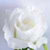 Artificial Flower 21*47CM Singel rose GS-35819005-W1