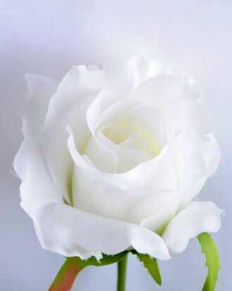 Artificial Flower 21*47CM Singel rose GS-35819005-W1 Single Flowers YeahFlower is one of Chinese leading OEM manufacturers and exporters , supplying the silk flowers, wholesale artificial trees Artificial Flower 21*47CM Singel rose GS-35819005-W1