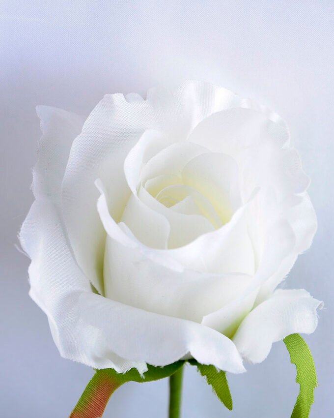 Artificial Flower 21*47CM Singel rose GS-35819005-W1