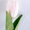 Artificial Flower 6*44CM Tulip GS-12819004-P1