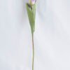 Artificial Flower 6*44CM Tulip GS-12819004-Z1