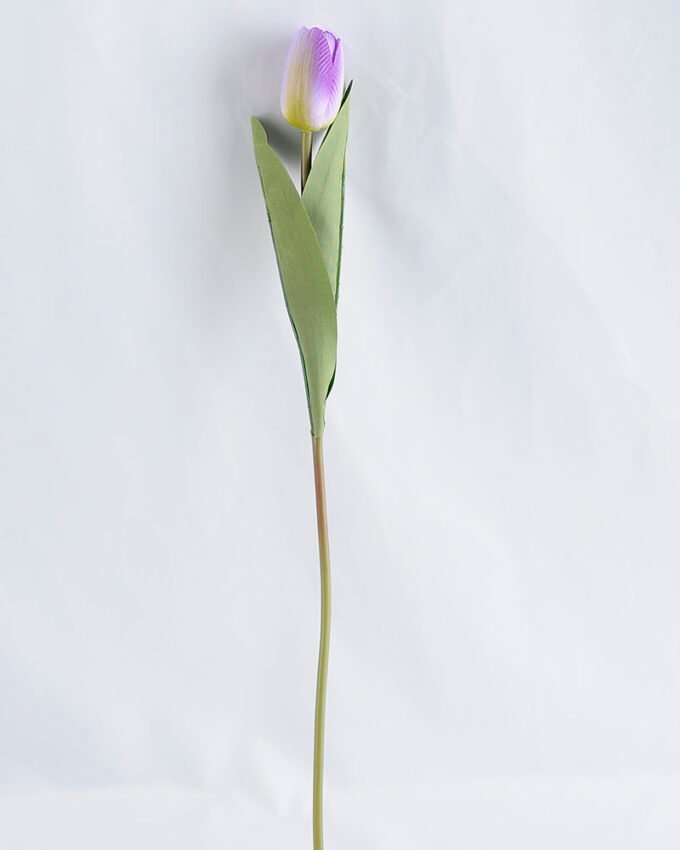 Artificial Flower 6*44CM Tulip GS-12819004-Z1