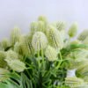 Artificial Flower 17*17*22CM Wild fruit bush GS-45619019