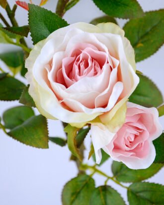Artificial Flower 16*14*46CM rose spray GS-40719003-P2 Single Flowers YeahFlower is one of Chinese leading OEM manufacturers and exporters , supplying the silk flowers, wholesale artificial trees Artificial Flower 16*14*46CM rose spray GS-40719003-P2