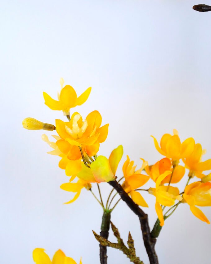 Artificial Flower 21*13*65CM winter jasmine(S) GS-40719005-O1