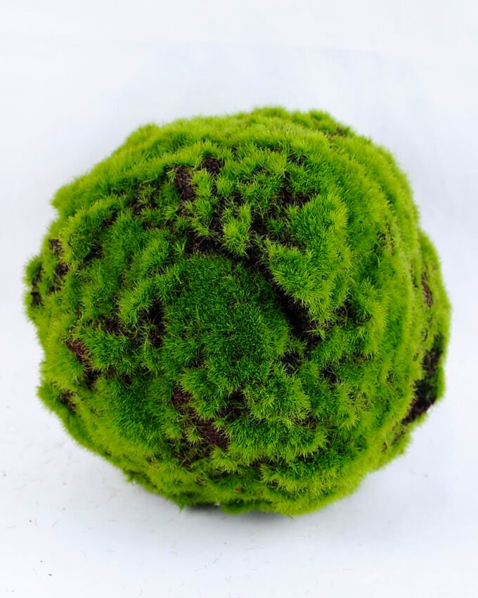 Artificial Plant D:15CM Echinopsis tubiflora GS-52619012