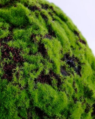 Artificial Plant D:28CM Echinopsis tubiflora GS-52619010